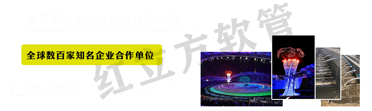 红立方工业集团股份有限公司